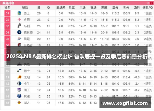 2025年NBA最新排名榜出炉 各队表现一览及季后赛前景分析